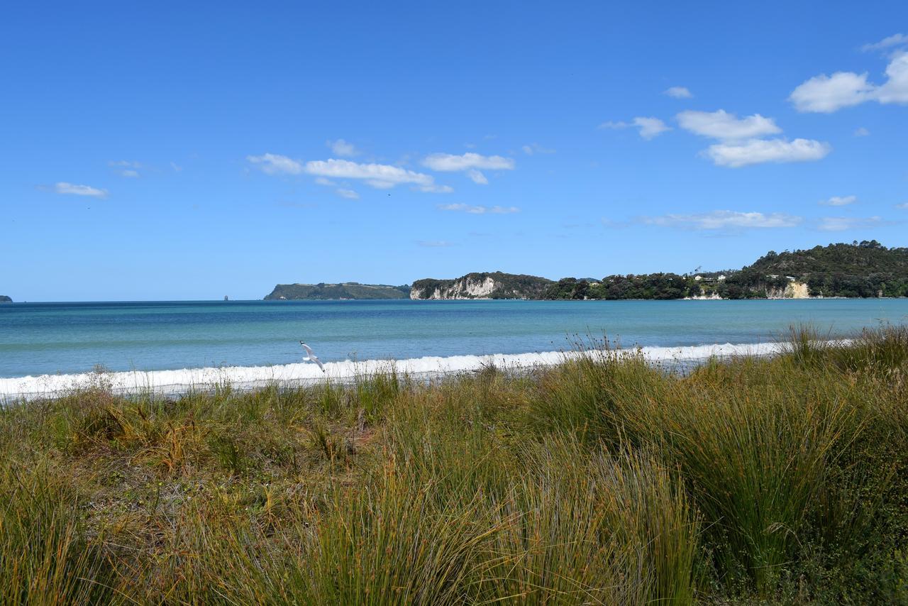 Paradise In Whitianga B&B Wells Place 외부 사진